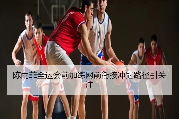 陈雨菲全运会前加练网前衔接冲冠路径引关注
